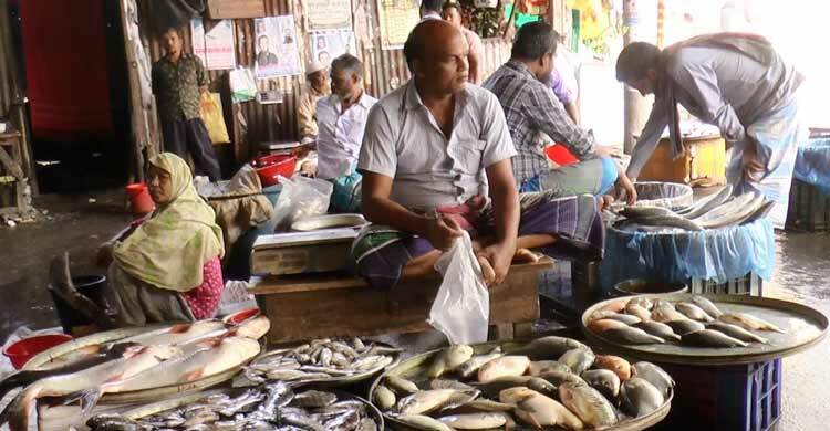 মাদারীপুরে বেড়েছে মাছের দাম