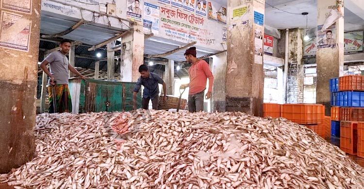 নিষিদ্ধ জালে হুমকিতে মৎস্য সম্পদ