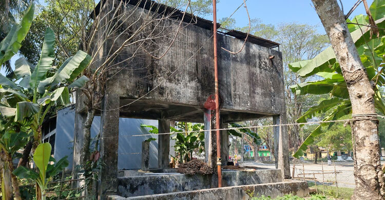 ২০ বছর ধরে বন্ধ একমাত্র সরকারি মৎস্য হ্যাচারি, বিপাকে চাষিরা