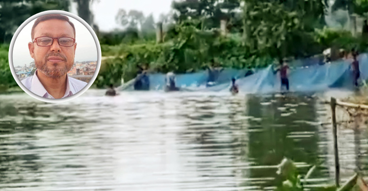 চাঁদা না পেয়ে বিএনপি নেতার মাছ লুটের ঘটনা তদন্তে দুই কমিটি