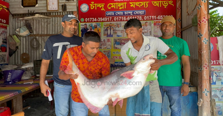 ৬৭ হাজারে বিক্রি হলো এক পাঙাশ