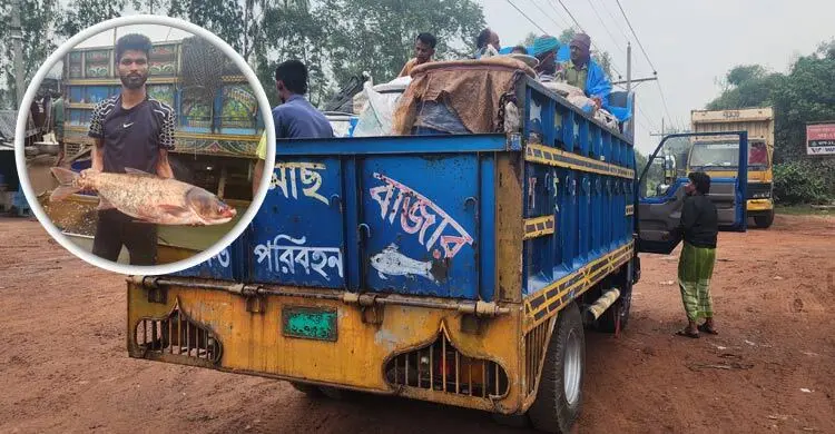 ৭ হাজার টাকা পর্যন্ত বেড়েছে ট্রাকভাড়া, বাড়ছে মাছের দাম