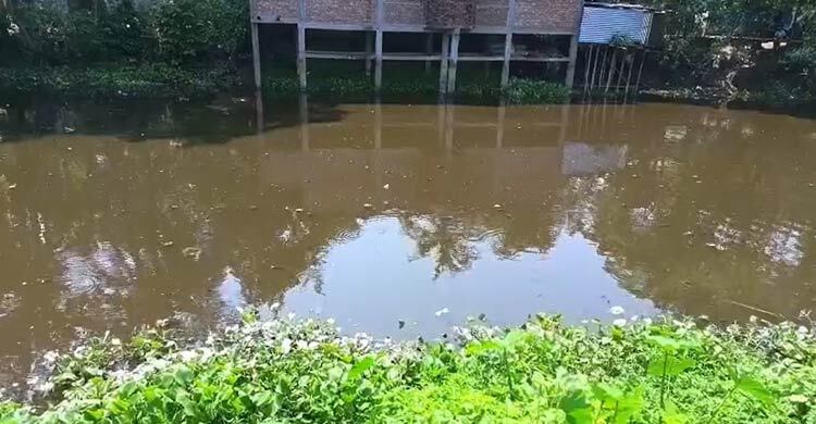 পুকুরে কোরবানির পশুর চামড়ার বর্জ্য ফেলায় মারা গেল ১০ লাখ টাকার মাছ