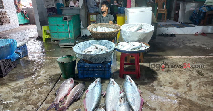 কম ধরা পড়ছে ইলিশ, সরবরাহ বেড়েছে অন্য মাছের