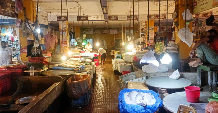 ইলিশের দাম আকাশছোঁয়া, ‘গরিবের মাছ’ পাঙাসেও অস্বস্তি