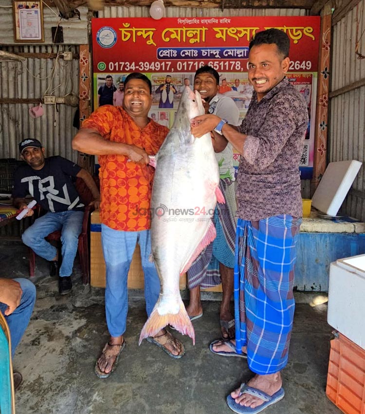 ৬৭ হাজারে বিক্রি হলো এক পাঙাশ