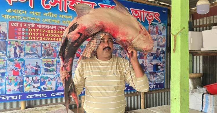 এক বাঘাইড়ে জেলে পেলেন ৭১ হাজার টাকা