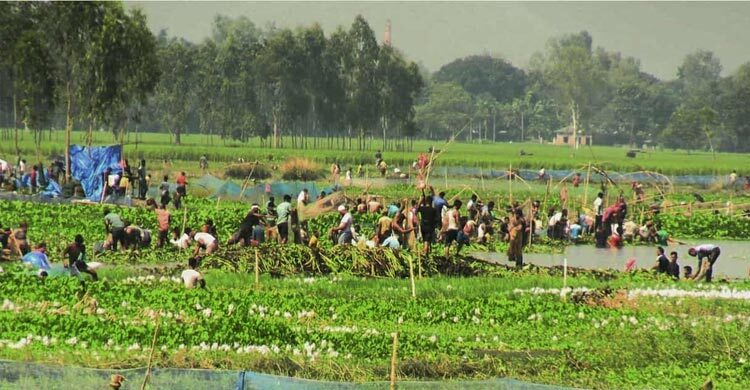 বুড়ি বাঁধে মাছ ধরার উৎসবে হাজারো মানুষ