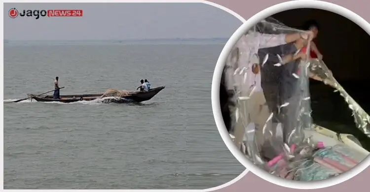 ‘নদীর সব জাটকা ধরা হয়ে গেছে, মনে হয় না সামনে ইলিশ পাবো’