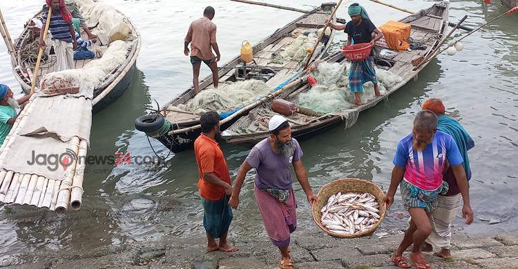 কম ধরা পড়ছে ইলিশ, সরবরাহ বেড়েছে অন্য মাছের