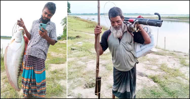 মধুমতি নদীতে বড়শিতে ধরা পড়ছে বড় বড় চিতল