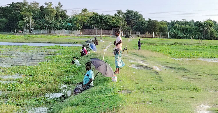 কালীগঞ্জে ‘বড়শি মৌসুমে’ মাছ শিকারিদের উৎসব