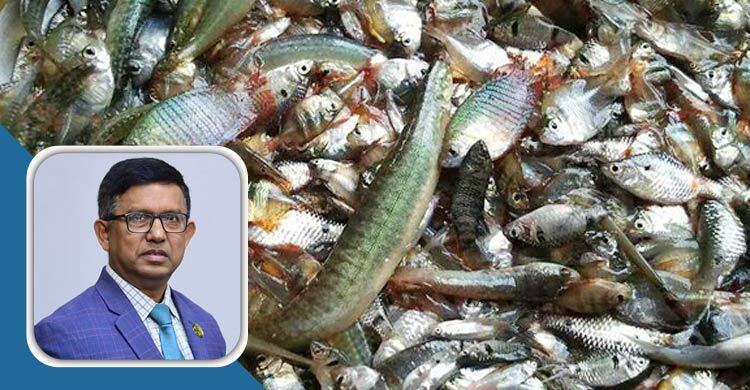 দেশীয় প্রজাতির মাছ রক্ষায় করণীয়