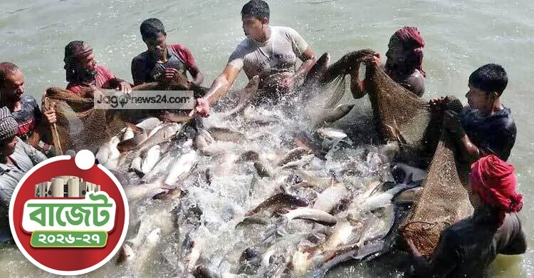 ৫৬ লাখ টন মাছ উৎপাদনে লক্ষ্যমাত্রা