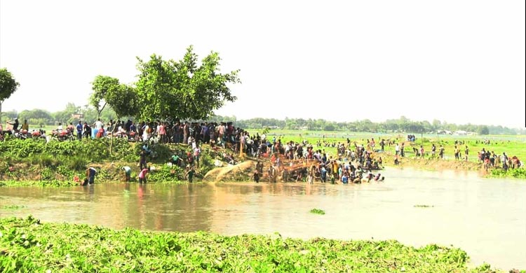 বুড়ি বাঁধে মাছ ধরার উৎসবে হাজারো মানুষ