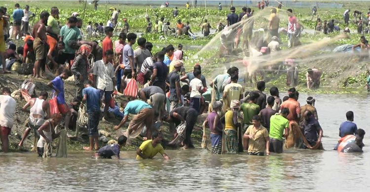 বুড়ি বাঁধে মাছ ধরার উৎসবে হাজারো মানুষ