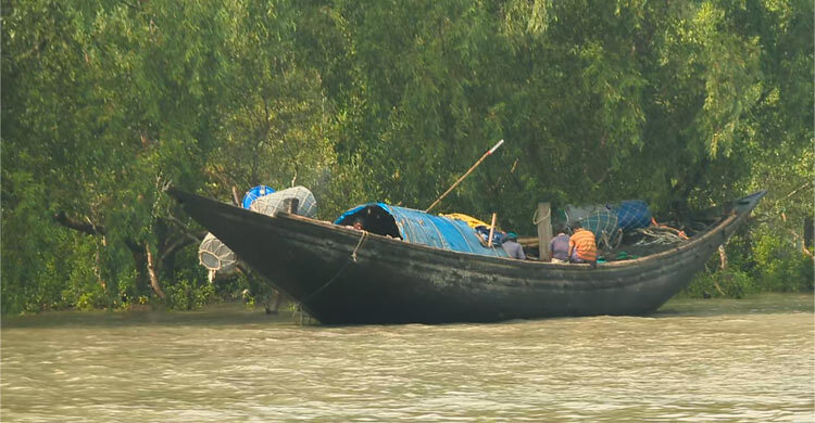 সুন্দরবনে জেলেকে অপহরণ করে মুক্তিপণ দাবি