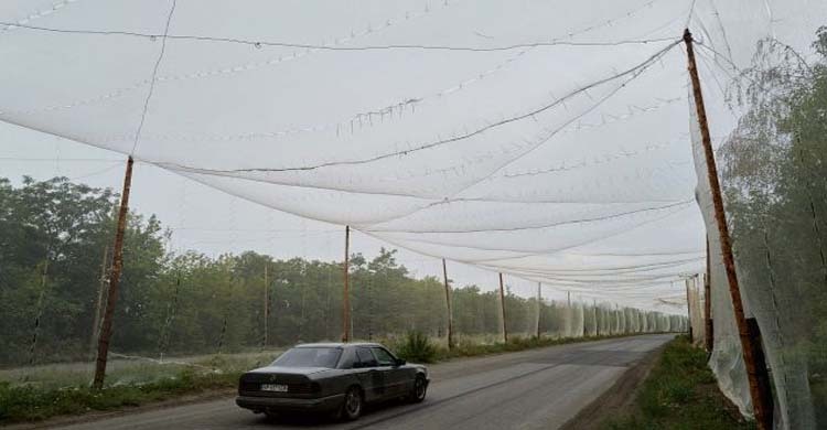 ইউক্রেনে ফরাসি মাছ ধরার জালে আটকা পড়ছে রুশ ড্রোন