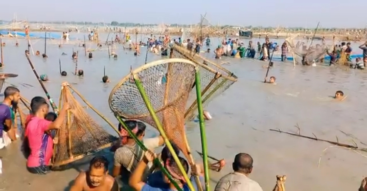 বোকা বিলে পলো-জালে ‘হাইত উৎসব’