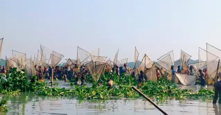 বোকা বিলে পলো-জালে ‘হাইত উৎসব’