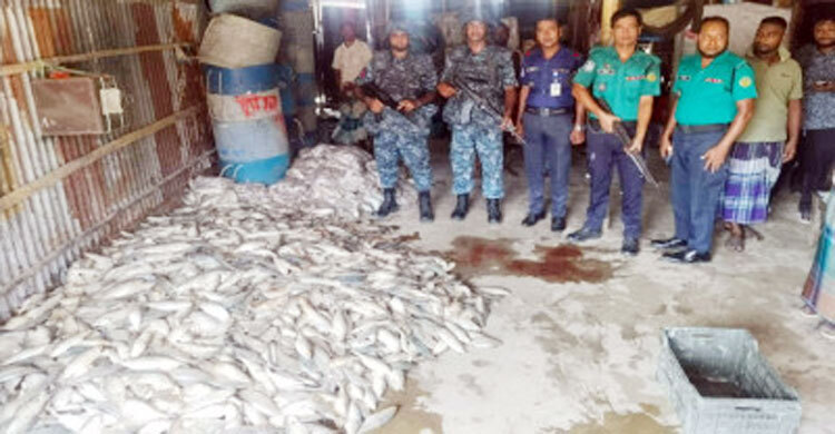 চট্টগ্রামে আড়াই হাজার কেজি মা ইলিশ জব্দ, লাখ টাকা জরিমানা