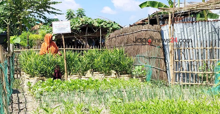 বন্যা থেকে বাঁচিয়ে চরাঞ্চলের কৃষকদের অভিনব সবজি চাষ