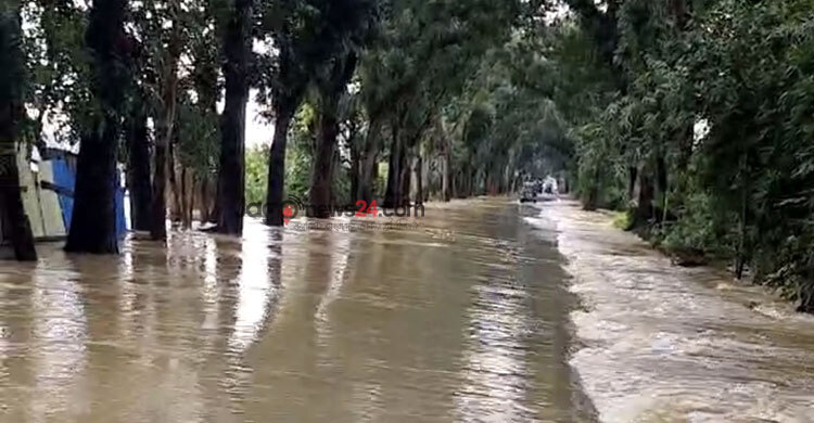 এবার ডুবলো ফেনী-ছাগলনাইয়া মহাসড়ক