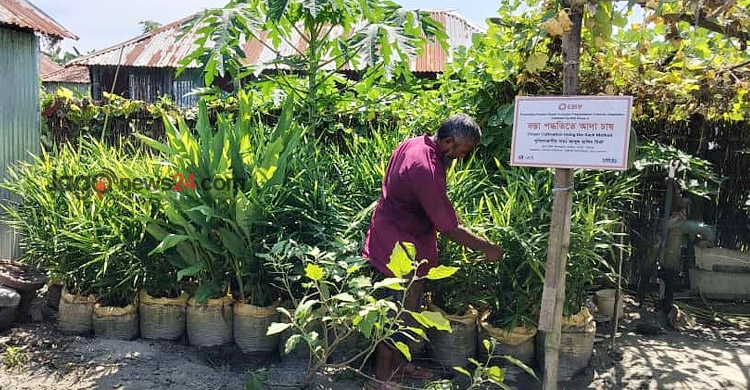 বন্যা থেকে বাঁচিয়ে চরাঞ্চলের কৃষকদের অভিনব সবজি চাষ