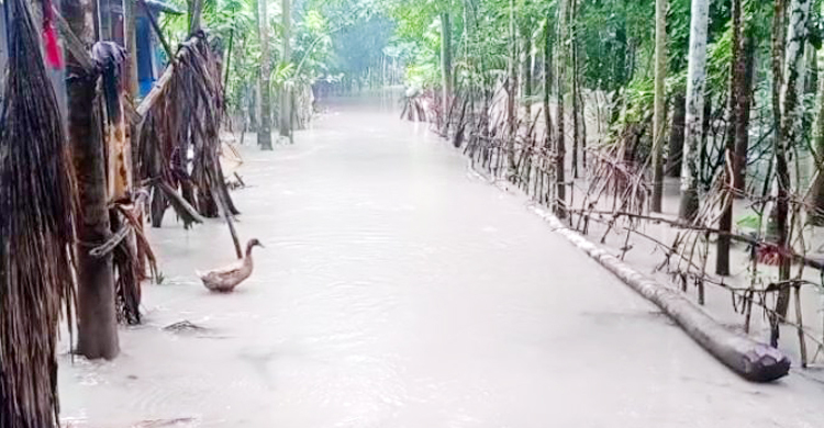 বিষখালির পানি বেড়ে কাঁঠালিয়ার সাত গ্রাম প্লাবিত