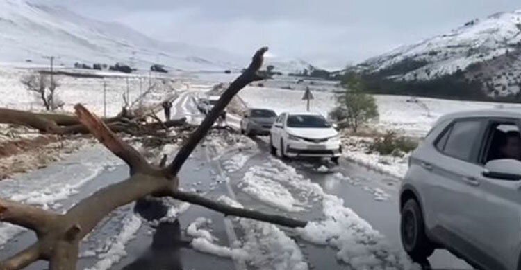 49 killed in South African flooding