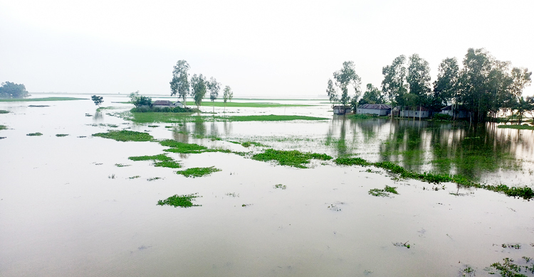 বিপৎসীমার ৫ সেমি ওপরে তিস্তার পানি, বন্যা পরিস্থিতির অবনতির শঙ্কা