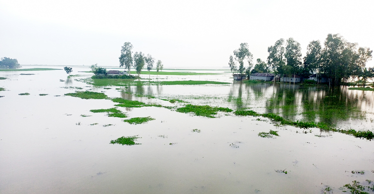 ৪ জেলায় বন্যার সতর্কতা