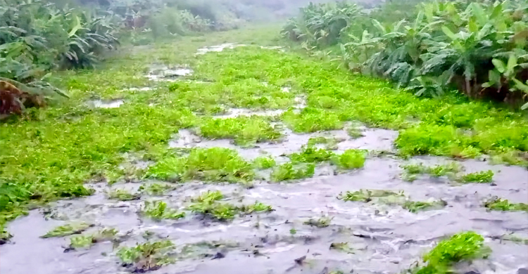 চুয়াডাঙ্গায় ভৈরব নদীতে হঠাৎ পানি বৃদ্ধি, আতঙ্কে মানুষ