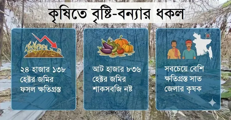 বন্যায় ৪৭৮ কোটি টাকার ফসলের ক্ষতি, অর্ধেকই সবজি
