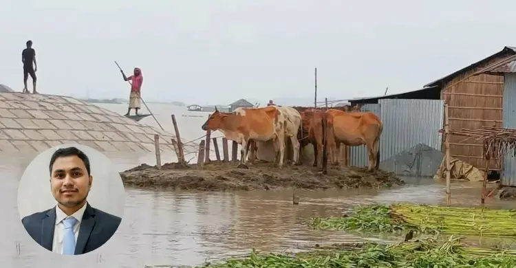 বন্যায় গবাদিপশুর সুরক্ষায় করণীয়
