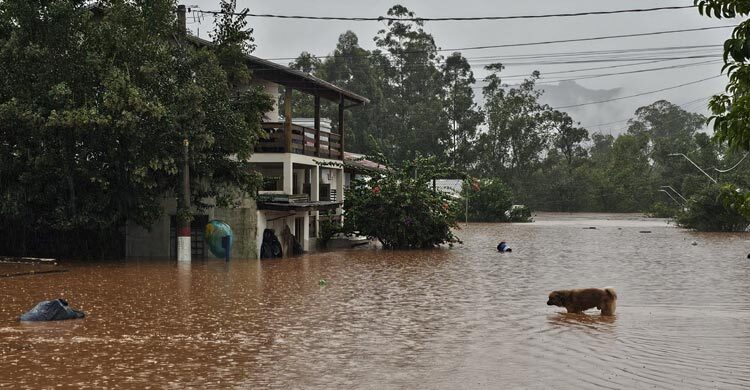 10 dead, 21 missing after heavy rains in Brazil