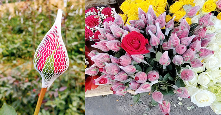 চট্টগ্রামে বসন্ত-ভালোবাসা দিবসেও ফুলের বাজার মন্দা