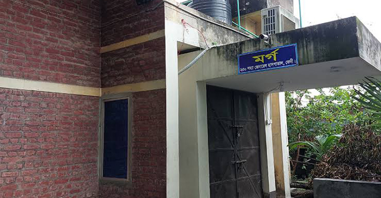 ঢাকা-চট্টগ্রাম মহাসড়কে বাস-পিকআপ সংঘর্ষে নিহত ১