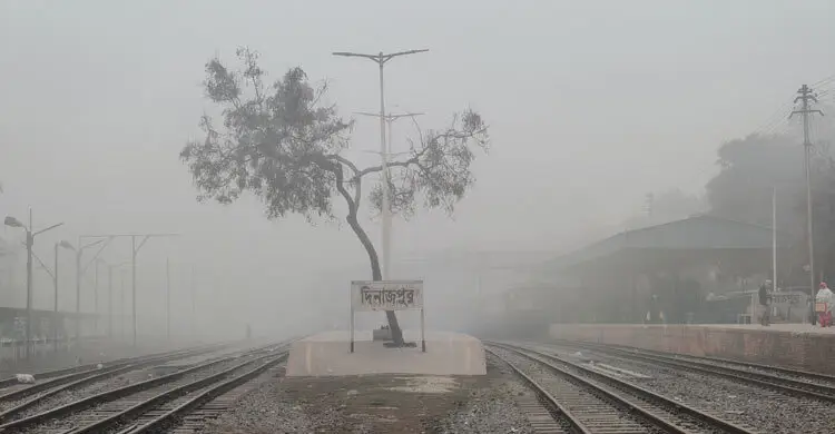 হঠাৎ ঘন কুয়াশার চাদরে ঢাকলো দিনাজপুর, বিপাকে বোরো-আলু চাষিরা