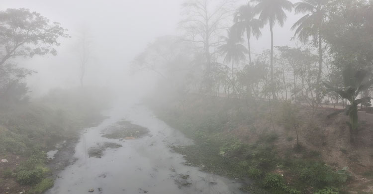 হঠাৎ ঘন কুয়াশার চাদরে ঢাকলো দিনাজপুর, বিপাকে বোরো-আলু চাষিরা
