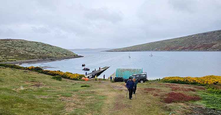ফকল্যান্ড দ্বীপপুঞ্জের বিস্ময়কর ভ্রমণ