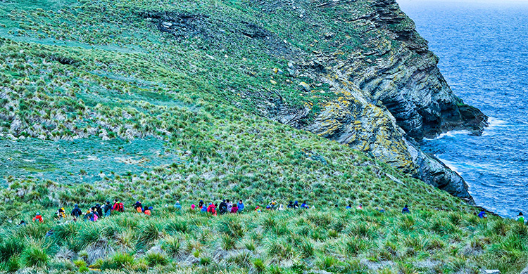 ফকল্যান্ড দ্বীপপুঞ্জের বিস্ময়কর ভ্রমণ