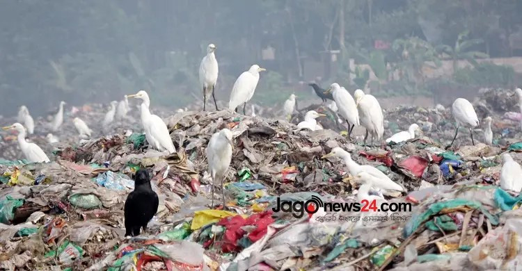 মাঝারি ক্ষুধার দেশেও খাদ্যের অপচয়