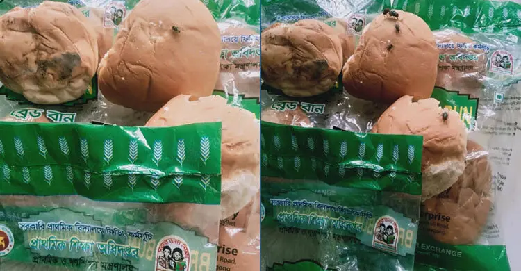 স্কুল ফিডিংয়ে পচা ডিম-ছত্রাকযুক্ত রুটি সরবরাহের অভিযোগ