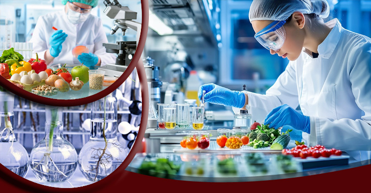 ফুড ইঞ্জিনিয়ারিং পড়লে ক্যারিয়ার কেমন হবে?