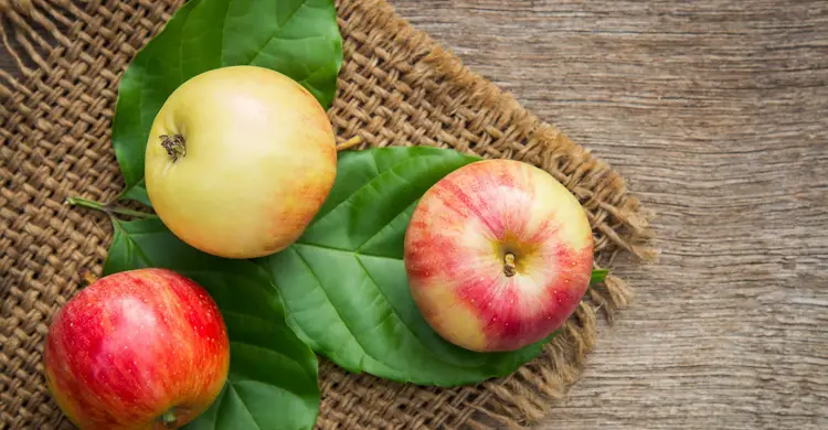 শীতে শরীর গরম রাখে যেসব খাবার