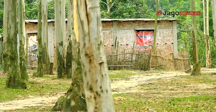 নওগাঁয় উজাড় হচ্ছে বনভূমি, হুমকিতে পরিবেশ