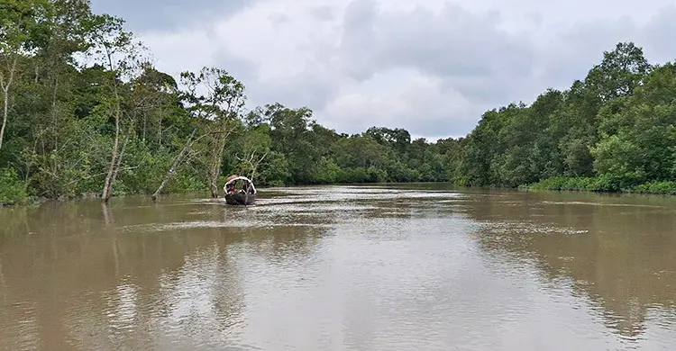 সুন্দরবনে ট্রলারসহ ৫ জেলেকে অপহরণ