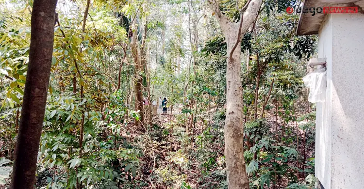 সংকটে লাউয়াছড়া জাতীয় উদ্যান, নিষ্ক্রিয় বন বিভাগ