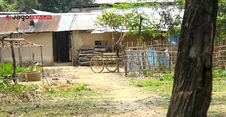 নওগাঁয় উজাড় হচ্ছে বনভূমি, হুমকিতে পরিবেশ